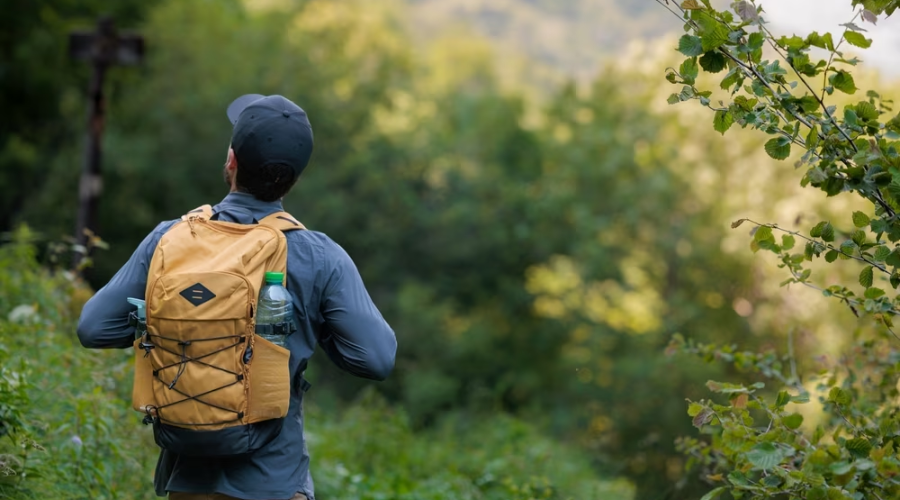 Instant Holiday Savings Deals: Quick Discounts For Fast Planners