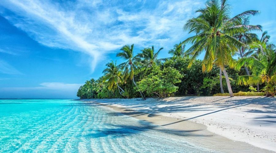 Beach Holiday Travel Guide: Discover Stunning Shores You Need To See
